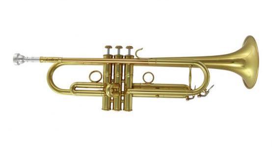 Carol Brass 5L