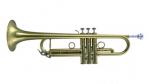 Carol Brass 5L