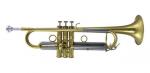 Carol Brass 7L