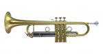 Carol Brass 7L