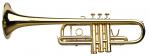 ADAMS - C2 Selected