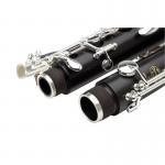 BUFFET CRAMPON DIVINE