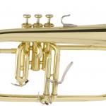 YAMAHA BRASS YFH-8310 Z.